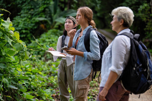 istock Young backpack hiking botany study woman walking in the forest and pay attention looking tree leave 1438143693
