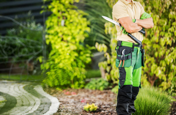 istock Landscaper with Garden Scissors 1438144781