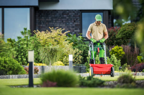 Grass Fertilizing Using Push Spreader Residential Lawn Grass Fertilizing Using Push Spreader. Gardener Job Theme. lawn seeder stock pictures, royalty-free photos & images