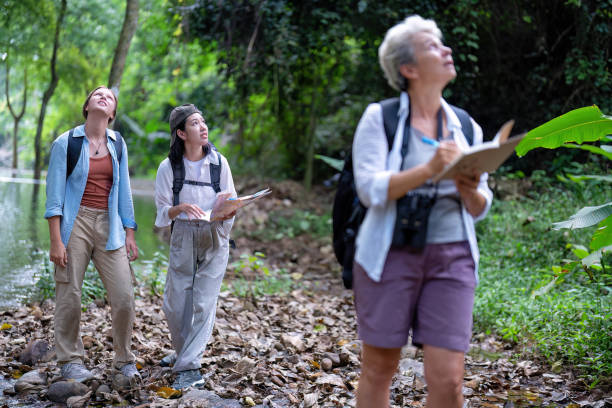 istock Backpack tourist travel outdoor adventure bird study using binoculars looking and record to book 1438145097