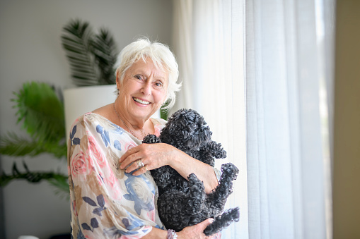 A cute senior woman with poodle on the living room