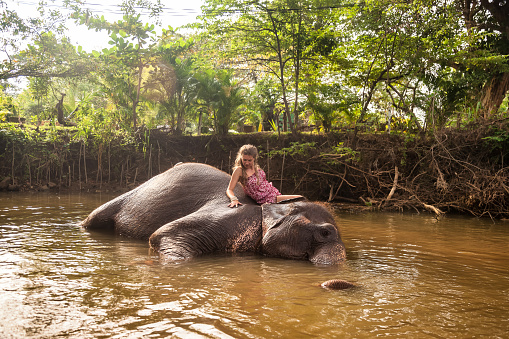 Cute lady tourist un summer clothe washing elephant in countryside river Sri Lanka, swimming him. Happy young woman tourist journey in jungle river, backdrop. Travel vacation concept. Copy text space