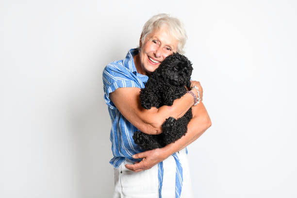 istock Senior Woman with Pet poodle Dog on studio white 1438145763
