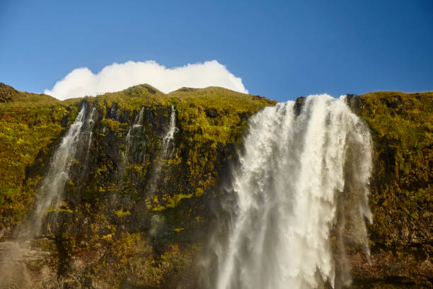 istock Seljalandsfoss waterfall in South Iceland 1438147389