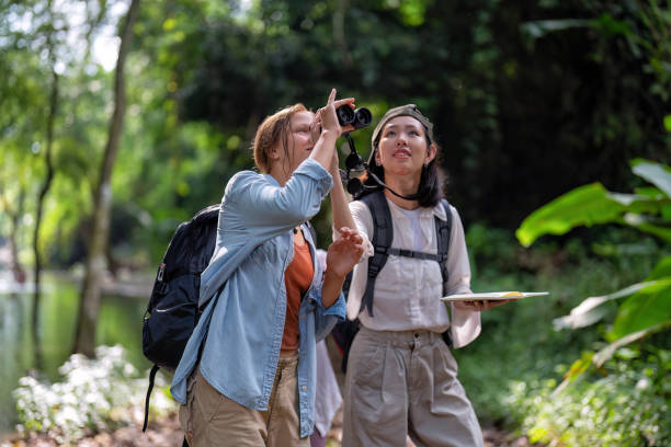 istock Backpack tourist travel outdoor adventure bird study using binoculars looking and record to book 1438148065