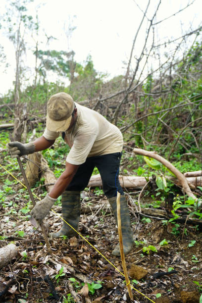 istock Man Digging a Hole with a Shovel - Stock Photo 1438150068