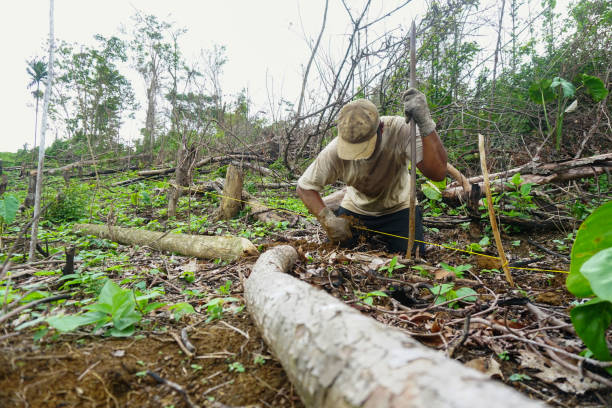 istock Man Digging a Hole with a Shovel - Stock Photo 1438150728