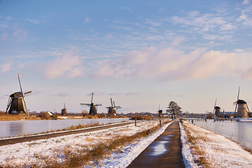 Several windmills in winter at the Kinderdijk, Holland. There is a cycle path and a footpath between the water. The water is frozen and all the land is covered with snow.