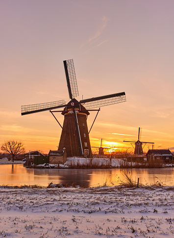 Several windmills in winter at the Kinderdijk, Holland. The water is frozen and all the land is covered with snow. The sun has just set.