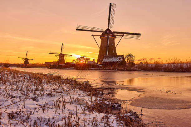 istock Kinderdijk windmills in winter during sunset. 1438151053