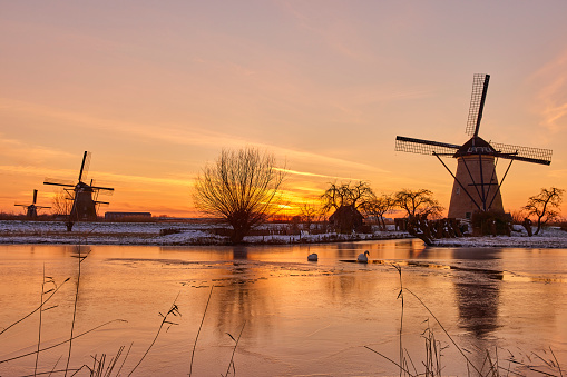 Several windmills in winter at the Kinderdijk, Holland. The water is frozen and all the land is covered with snow. The sun has just set.
