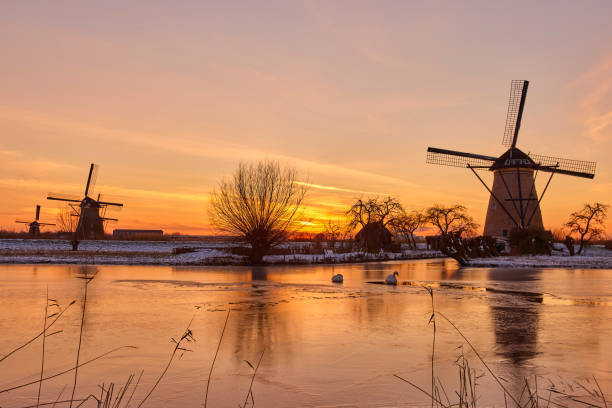 Kinderdijk windmills in winter during sunset. stock photo