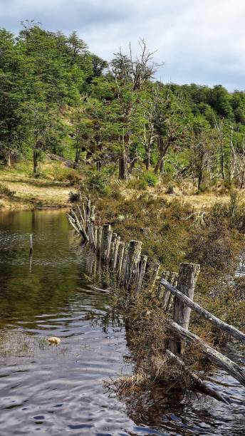 istock Lagoons  and  swamps 1438151227