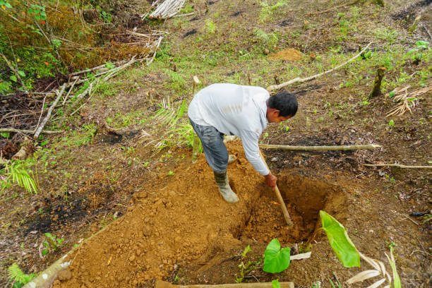istock Man Digging a Hole with a Hoe - Stock Picture 1438151467