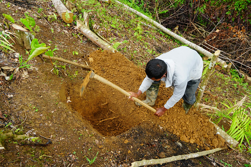 Man in work clothes digging hole with hoe to plant durian tree in garden
