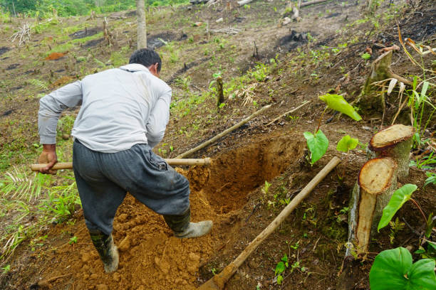 istock Man Digging a Hole with a Hoe - Stock Picture 1438151492