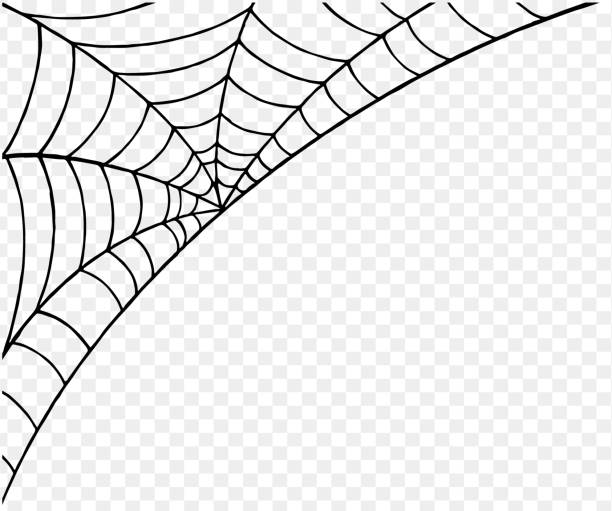 Halloween party background with spiderwebs isolated png or transparent texture,blank space for text,element template for poster,brochures, online advertising,vector illustration Halloween party background with spiderwebs isolated png or transparent texture,blank space for text,element template for poster,brochures, online advertising,vector illustration spider web png stock illustrations