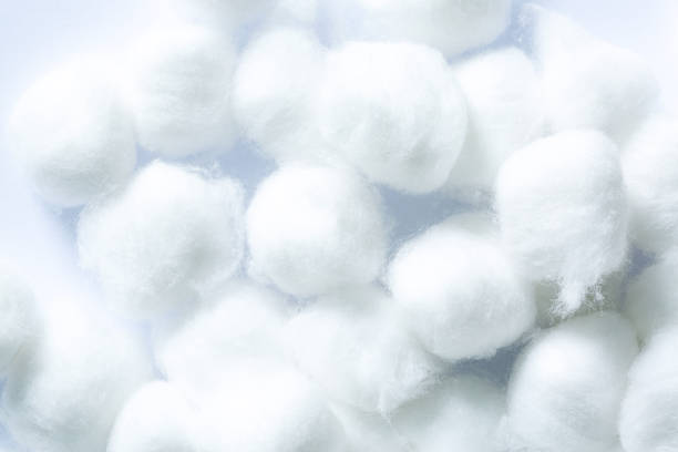 fluffy white cotton flower,macro white cotton texture,use cotton wool isolated on a white background. - cotton flower textile macro imagens e fotografias de stock