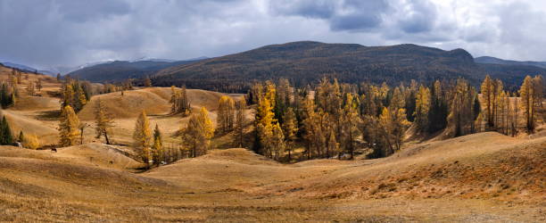 istock Relief mountains of Altai 1438155703