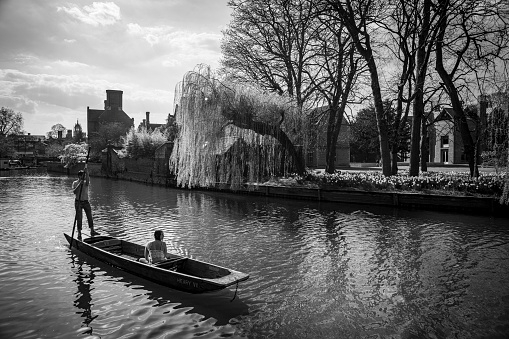 Punt on the River Cam. Cambridge, Cambridgeshire, England, UK.