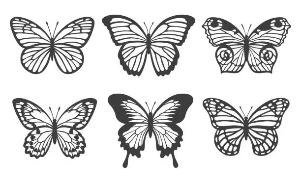 Vector illustration of Butterfly collection. Realistic butterflies with textured wings. Monarch, peacock eye