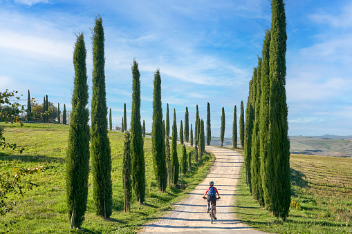 nice senior woman riding her electric mountain bike in a cypress avenue in the Chianti area near Pienza, Tuscany , Italy