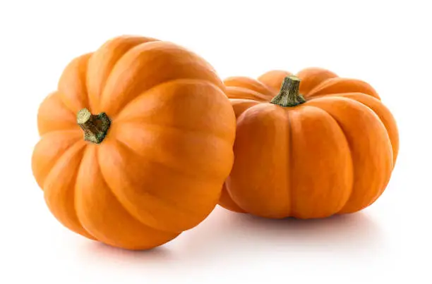 Photo of Two fresh orange pumpkins