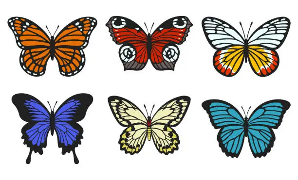 Vector illustration of Butterfly collection. Realistic butterflies with textured wings. Monarch, peacock eye