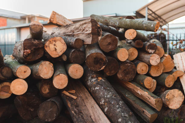 istock Pile of logs ready to be chopped 1438157364