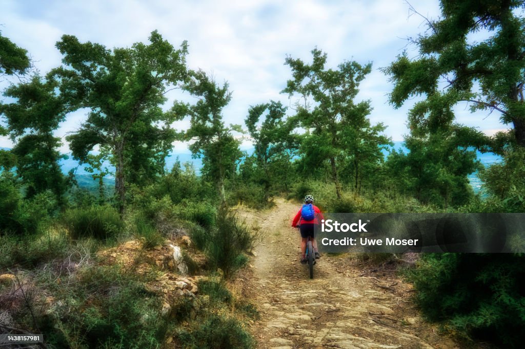 woman riding her electric mountain bike on  trail between old oak trees in near Arezzo, Tuscany , Italy woman riding her electric mountain bike on a rough rocky trail between old oak trees in the Casentino mountains near Arezzo,Tuscany , Italy Active Seniors Stock Photo