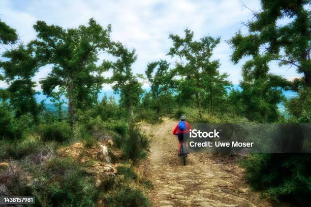 Woman Riding Her Electric Mountain Bike On Trail Between Old Oak Trees In Near Arezzo Tuscany Italy Stock Photo - Download Image Now