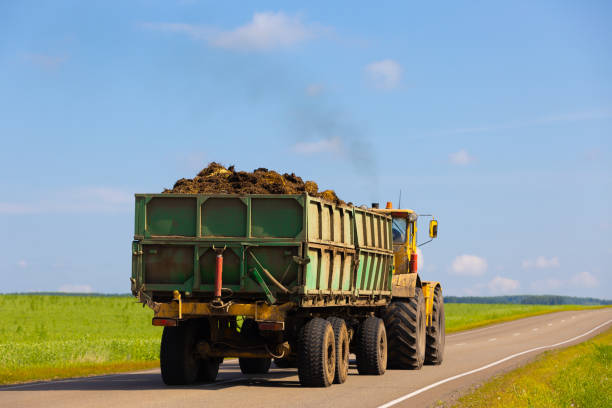 istock Truck with manure on a rural road 1438159527