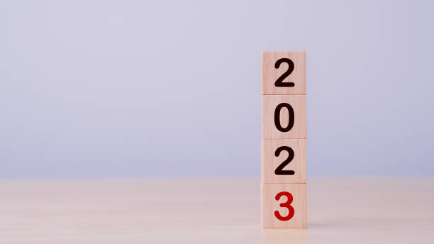 istock 2023 Goal Plan Action, Business Plan, Strategy, Target, Success, Background, New Year Concept. 2023 on wooden cube blocks with goal, target icon. Business annual plan, achievement, success in 2023. 1438161501
