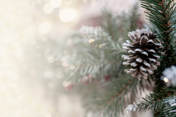 istock Christmas bokeh effect background with pine branches, cones, and space for inscription 1438166592