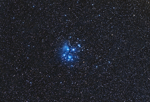 Sirius, the brightest star in the night sky.