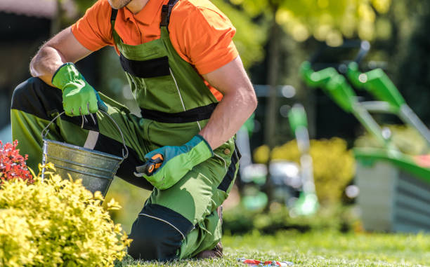 istock Garden Spring Maintenance Performed by Gardener 1438168083
