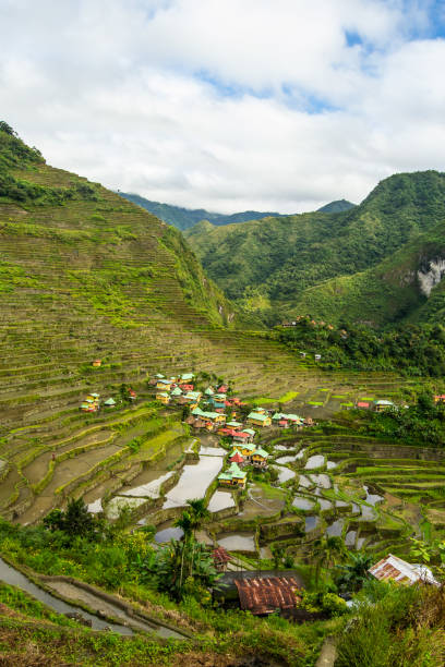 istock Vertical shot of Batad Rice Terraces, Luzon, Philippines 1438168142