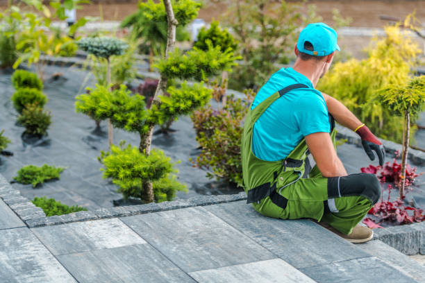 istock Gardener Resting After Completing His Job 1438169404