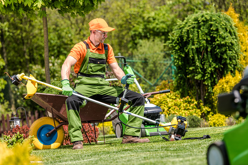 Caucasian Landscape Gardener Resting While Mowing the Lawn Sitting on the Wheelbarrow and Holding Professional Grass Trimmer in His Hands.