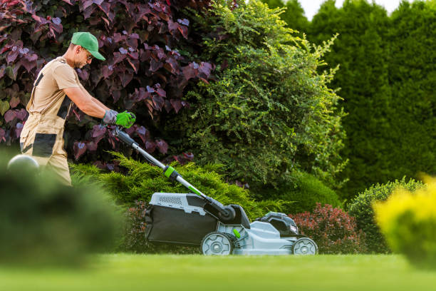 istock Garden Worker with Grass Mower Working in Residential Garden 1438170612