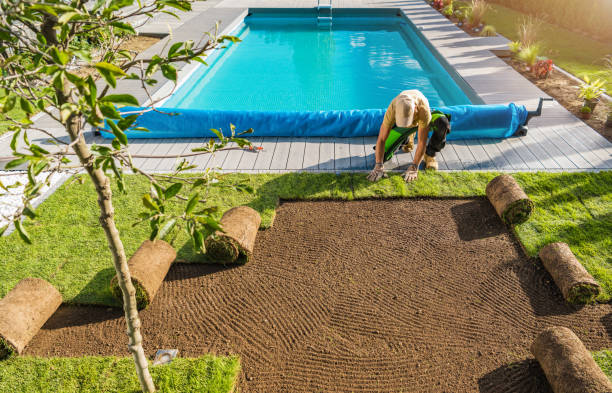 Gardener Installing Roll Out Lawn Next to Pool stock photo