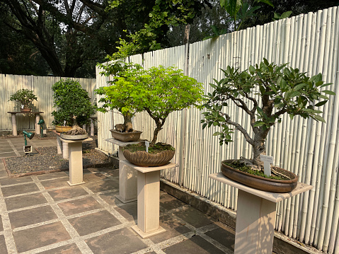 Stock photo showing a back yard that has been converted into a Japanese garden, with many oriental elements laid out around a paved courtyard. Located at Lodhi Gardens, New Delhi with free entry for all to view this collection.