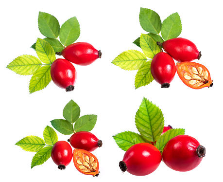 rose hip berry and half berry with leaf isolated on white background. Set or collection.
