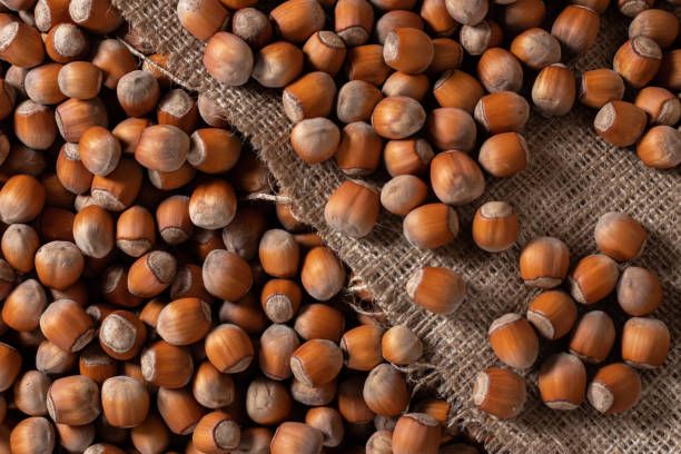 istock Hazelnuts, filbert on old wooden table. heap or stack of hazel nuts. Hazelnut background, healty food 1438176273