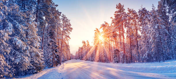 schöne aussicht auf den sonnenaufgang am morgen auf der verschneiten landstraße. - woods tree panoramic snow stock-fotos und bilder