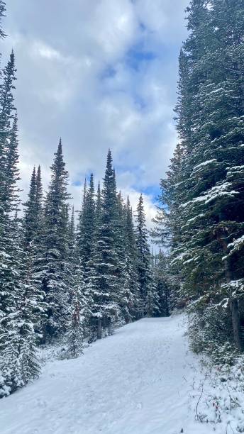 istock Lake Louise trail lookout covered in snow 1438179475