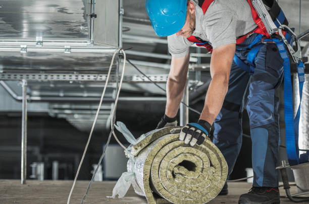 istock Worker with Piece of Mineral Wool Insulation 1438181780
