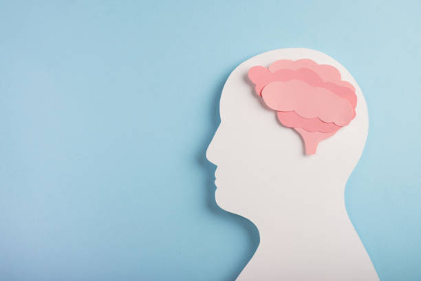 istock Head silhouette with paper model brain on pastel blue background 1438181858