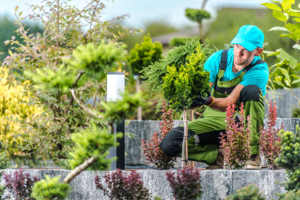 istock Landscaper Staking a Plant 1438181867
