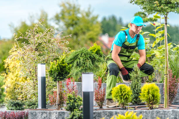 istock Tired Garden Landscaper 1438182981